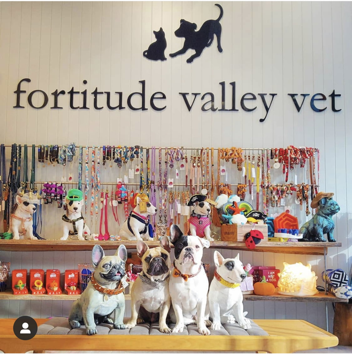 Fortitude Valley Vet